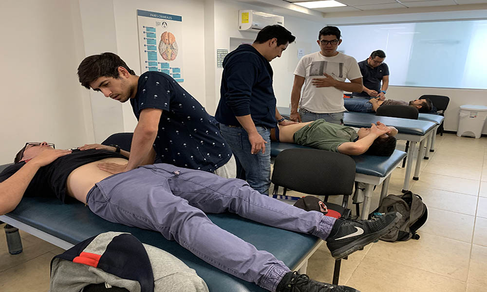 Escuela de Osteopatía de Madrid - Sede México